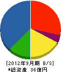 大栄電気 貸借対照表 2012年9月期