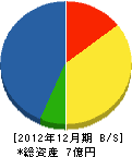 大竹組 貸借対照表 2012年12月期