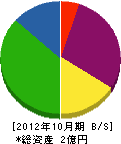 田中電気工事 貸借対照表 2012年10月期