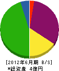 近田建設 貸借対照表 2012年6月期