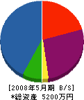 千葉興業 貸借対照表 2008年5月期