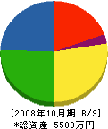 日本浄化槽水道工事 貸借対照表 2008年10月期