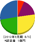塚田圧送 貸借対照表 2012年9月期