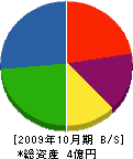 北陽エンヂニアリング 貸借対照表 2009年10月期