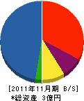 丸山建設 貸借対照表 2011年11月期