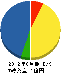 松木建設 貸借対照表 2012年6月期