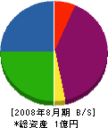 日本エコー 貸借対照表 2008年8月期