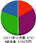 ハヤシ工務店 貸借対照表 2011年12月期