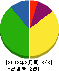 岡田電気 貸借対照表 2012年9月期