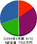 武田花光園 貸借対照表 2009年3月期