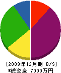 松寺建設運輸 貸借対照表 2009年12月期