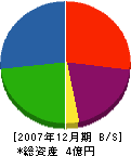 だるま堂 貸借対照表 2007年12月期