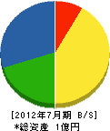 阪和建設 貸借対照表 2012年7月期