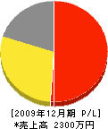 松井組建設 損益計算書 2009年12月期