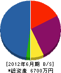 光岡興産 貸借対照表 2012年6月期