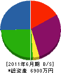 西沢工業 貸借対照表 2011年6月期