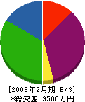 佐藤組 貸借対照表 2009年2月期