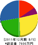 八木電機システム 貸借対照表 2011年12月期