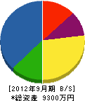 石川水道工事店 貸借対照表 2012年9月期