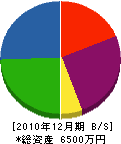 北日本ターフマネジメント 貸借対照表 2010年12月期