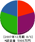 柴田石材 貸借対照表 2007年12月期