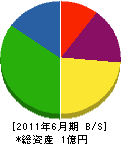 タイセイ電工 貸借対照表 2011年6月期
