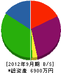 奄美冷熱 貸借対照表 2012年9月期