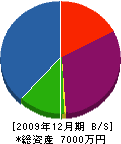 吉成建設 貸借対照表 2009年12月期