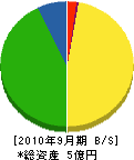 田中電気工事 貸借対照表 2010年9月期
