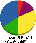 福井組 貸借対照表 2012年7月期
