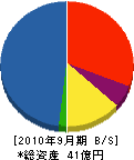 伸晃建設 貸借対照表 2010年9月期