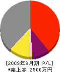 田邊水道工業所 損益計算書 2009年6月期