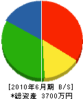 麻生・高須組 貸借対照表 2010年6月期
