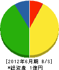 津田組 貸借対照表 2012年6月期