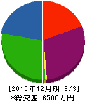 金田建設 貸借対照表 2010年12月期