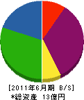 神谷商会 貸借対照表 2011年6月期