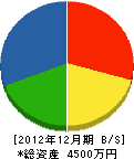 藤ノ川建設 貸借対照表 2012年12月期