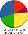 大島組 貸借対照表 2012年5月期