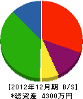 富田建設 貸借対照表 2012年12月期