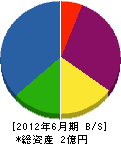 丸竹計電社 貸借対照表 2012年6月期