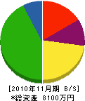豊和電設工業 貸借対照表 2010年11月期