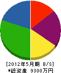 丸昭電機 貸借対照表 2012年5月期