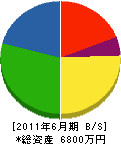 櫻木組 貸借対照表 2011年6月期