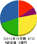 田中機電工業 貸借対照表 2012年10月期