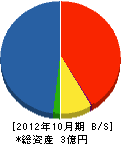 昭島道路 貸借対照表 2012年10月期