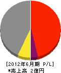 角田建築 損益計算書 2012年6月期