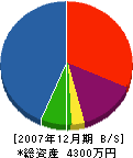 ダイキ商工 貸借対照表 2007年12月期