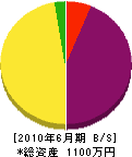 川崎建設 貸借対照表 2010年6月期