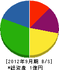 中田設備工業 貸借対照表 2012年9月期
