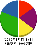 渡辺建設工業 貸借対照表 2010年3月期
